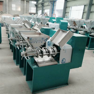 Stainless steel avocado oil press machine