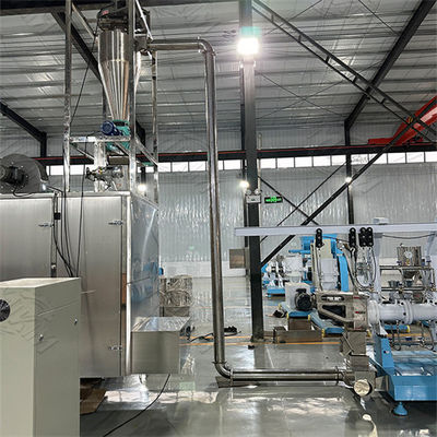 Jalur produksi kucing, anjing, dan ikan yang sepenuhnya otomatis