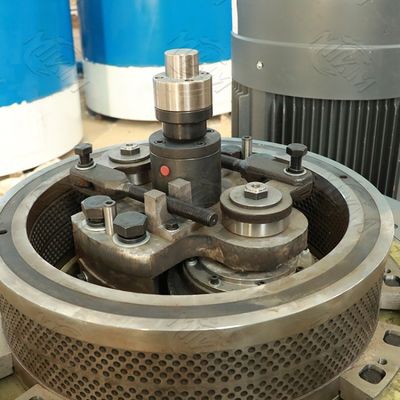 CE Flat Die Pelletizer Mesin Granulator Pakan Kecil PTO Driven Pellet Mill 12mm