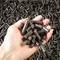 Mesin Pelet Kayu Biomassa Kopi Lapisan Ganda 0.6mm 1500kgs / H