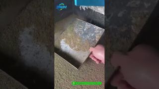Pabrik Pelet Pakan Udang | Demo Produksi Produk Jadi Pabrik#mesin pelet pakan