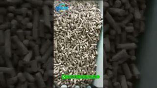 Mesin Pelet Kayu Biomassa | Pabrik Pelet Ring Die untuk lini Produksi Pelet Serbuk Gergaji